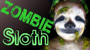 sloth makeup tutorial sloths com au