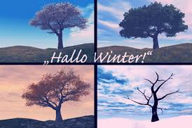 Hallo Winter! - Bilder - hallo-winter_822