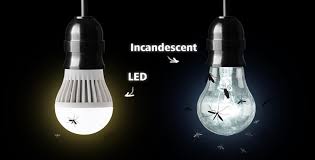 Do Led Lights Attract Bugs Knowledge