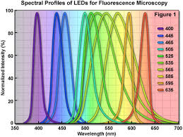 Zeiss Microscopy Online Campus Light Emitting Diodes
