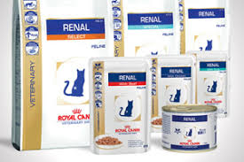 In summary, decades of research tell us that the best food for cats with ckd is one with the following. Royal Canin Launches New Renal Diets Vet Times