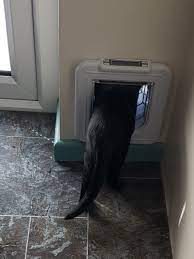 A Cat Flap In An External Wall