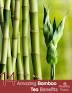 Bamboo tea benefits