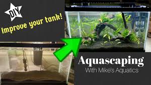 A central hub for aquascaping techniques, articles, news, and more. How To Aquascape 10 Gallon Planted Tank Driftwood And Plants Demo Youtube