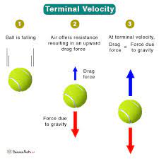 Terminal Velocity Definition Examples