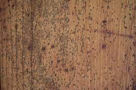 remove mold from a wooden ceiling