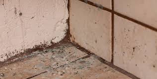 mold dangers in mobile homes
