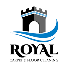 royal professional carpet cleaner in