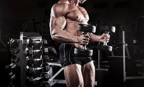 Bodybuilder Gym Wallpaper Hd 4k Download - Novocom.top