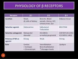 Adrenergic Receptors