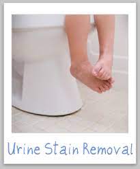 urine stain removal guide