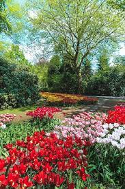 52 000 Flower Garden Pictures