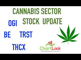 Canadian Weed Stocks Ogi Be Thcx Trst May 26th Analysis