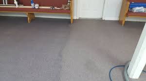 dry in an hour carpet cleaning 1113 s
