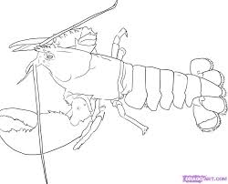 Lobster coloring page image inspirations pages. Lobster Outline Lobster Coloring Page Cartoon Clipart Of A Black And White Wikiclipart