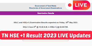 tn 11th result 2023 out on dge tn gov