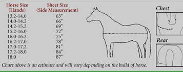 Horse Blanket Chart