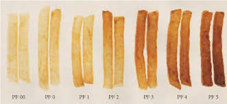 22 Quality Evaluation And Control Of Potato Chips And