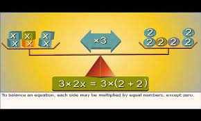 Solving Simple Equations Class 7