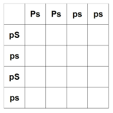 The Periodic Table Of Pythons Genetics 101