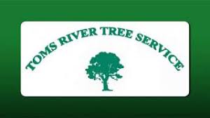 Browse the offers doliar tree and save money. Home Toms River Tree And Services