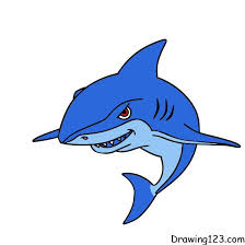 shark drawing tutorial how to draw