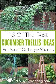Cuber Trellis Ideas 13 Of The Best