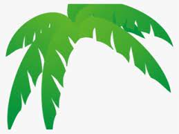 palm leaf png transpa palm leaf