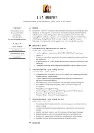 compliance officer resume exles