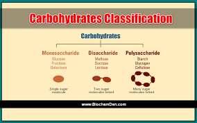 Carbohydrates Classification Basic Quick Review Notes 2019