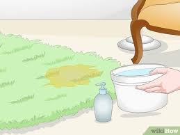 how to find cat urine with a uv light