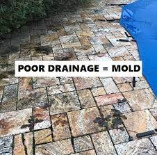 Mold On Pavers Battling Mother Nature