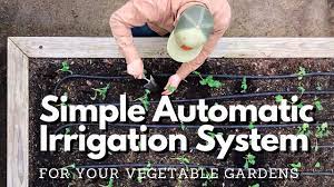 easy diy automatic irrigation system