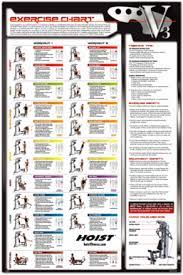 18 printable workout chart forms and
