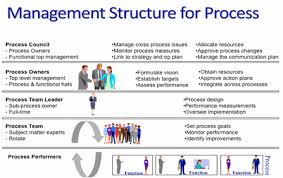 Management Structure For Process Success Bpminstitute Org