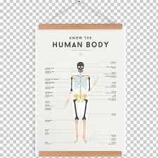 Human Body Square Number Homo Sapiens Chart Png Clipart