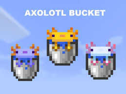 Axolotls can be one of five colors: Planetminecraft On Twitter This Texture Pack Replaces The Normal Axolotl Bucket Texture With The Color Of Your Preferred Axolotl Minecraft Zilp2m Axolotl Bucket Https T Co Kzpyjxx4xi Https T Co Ebctszzdqa