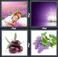 4 pics 1 word all levels with flowers