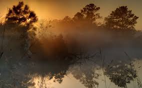 nature sky tree sunset fog lake