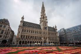 brussels flower carpet this is what