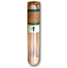 Image result for 1998 - Biologists reported that they had deciphered the genome (genetic map) of the syphilis bacterium.