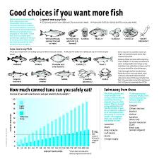 Mercury Rising Which Fish And How Much Is Safe To Eat