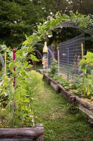 Vertical Gardening Ideas Affordable
