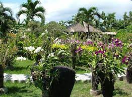 bali orchid garden