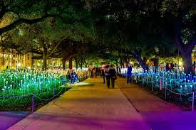 Discovery Green Dazzles With Return Of Field Of Light