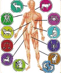 Medical Astrology Diagnose Health Diseases From Signs