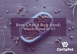 Best Cheap Dog Food Which Brand Is It Certapet