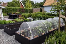 21 Excellent Vegetable Garden Ideas