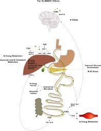 obesity after bariatric surgery