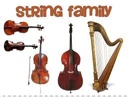 So wouldn't it be a shame lose detail to subpar audio gear? Family String Instruments Musical Instruments Orchestra Violin Png Clipart Bass Violin Bowed String Instrument Brass Instruments